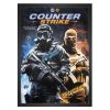تابلو بازی کانتر Counter Strike