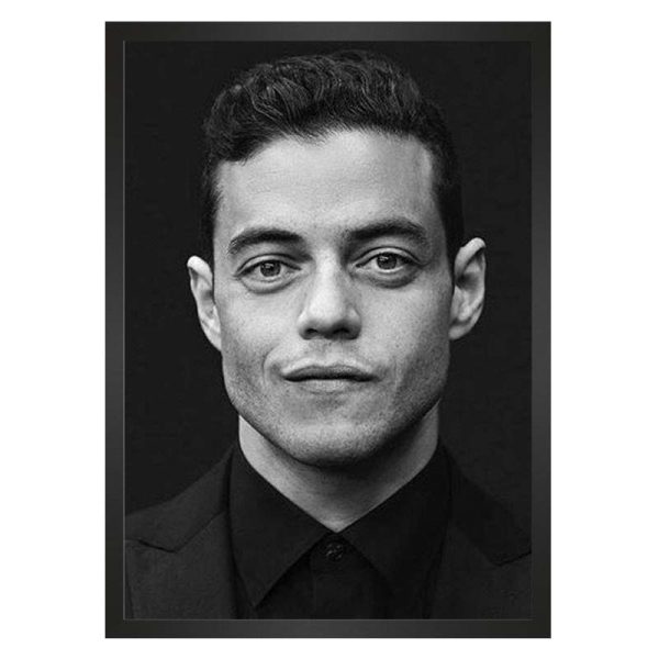 تابلو سلبریتی رامی ملک Rami Malek