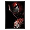 تابلو مرد عنکبوتی (spider man)