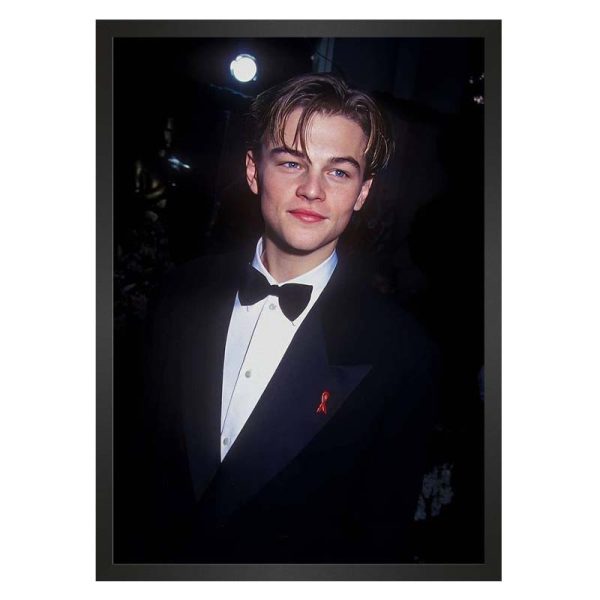 تابلو سلبریتی دیکاپریو Leonardo DiCaprio
