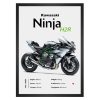 تابلو کاوازاکی Ninja H2R