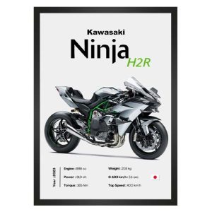 تابلو کاوازاکی Ninja H2R